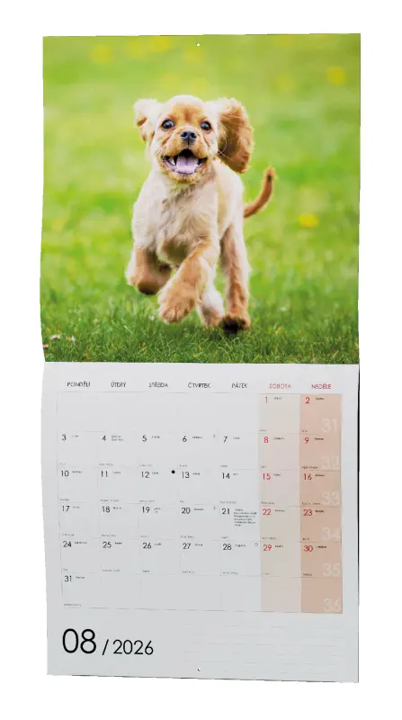 Nástěnný kalendář 2026 Štěňata