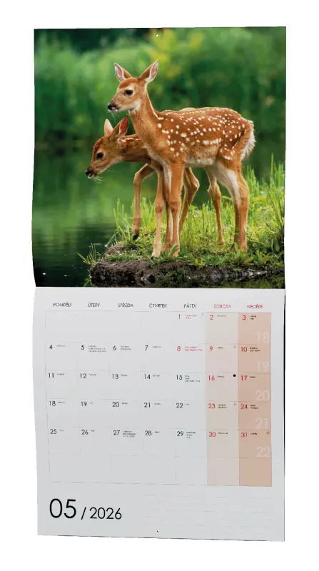 Nástěnný kalendář 2026 Zvířátka