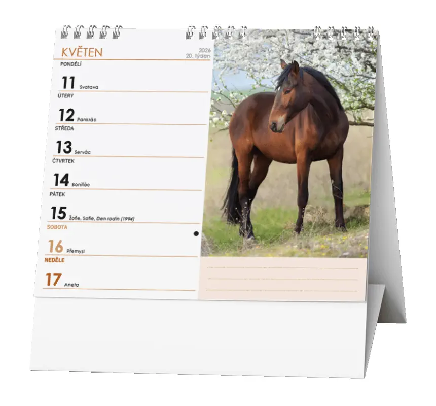 Stolní kalendář 2026 IDEÁL - Koně