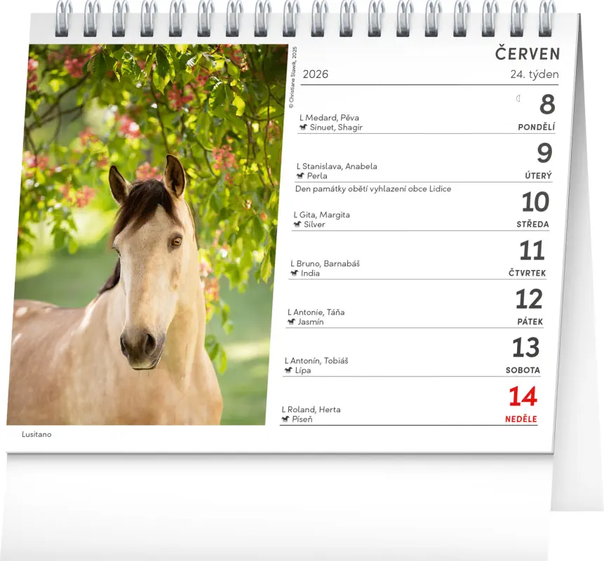 NOTIQUE Stolní kalendář Poezie koní 2026, 16,5 x 13 cm