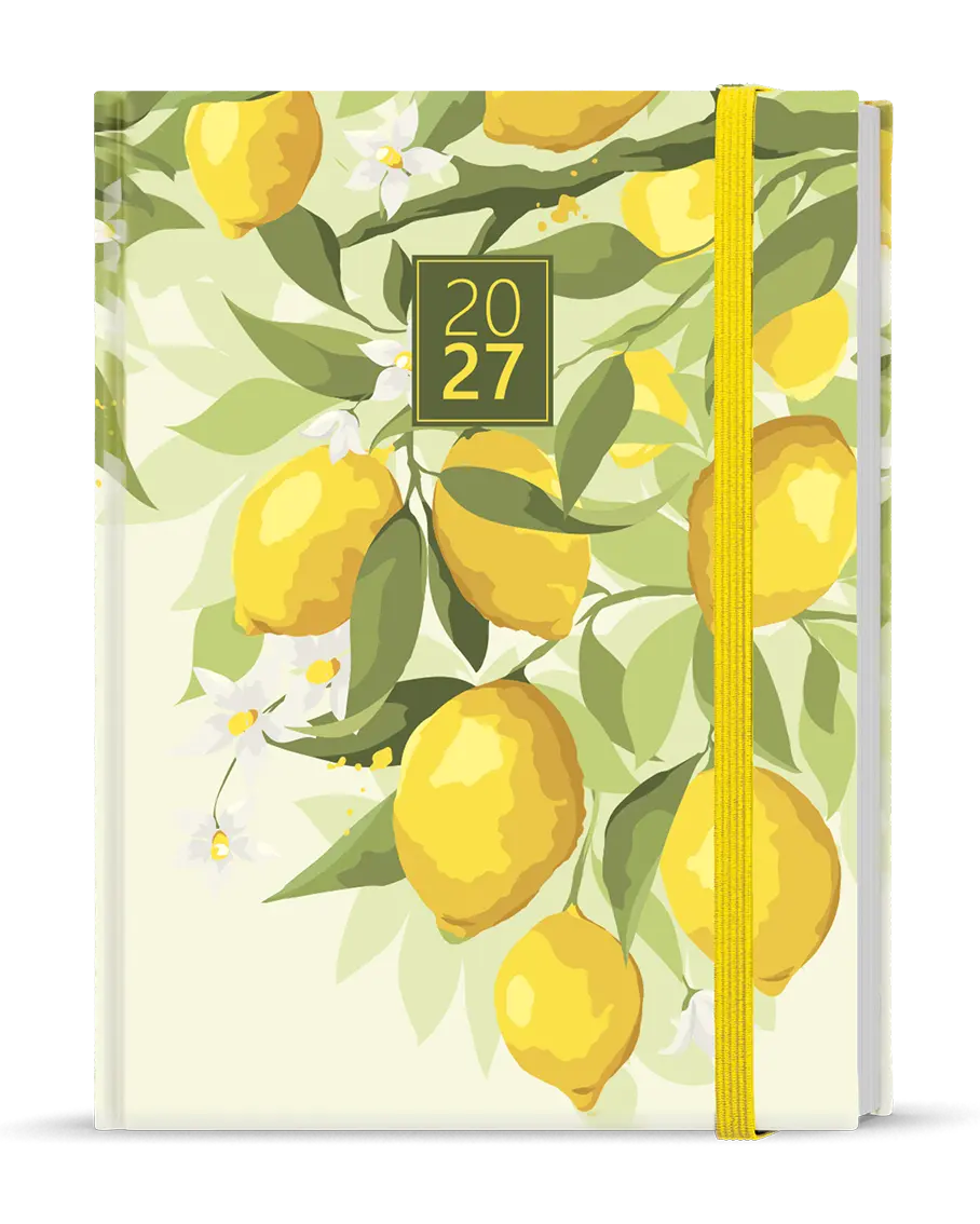 Diář 2027 Denní diář - Adam - Lamino - B6 - Citron