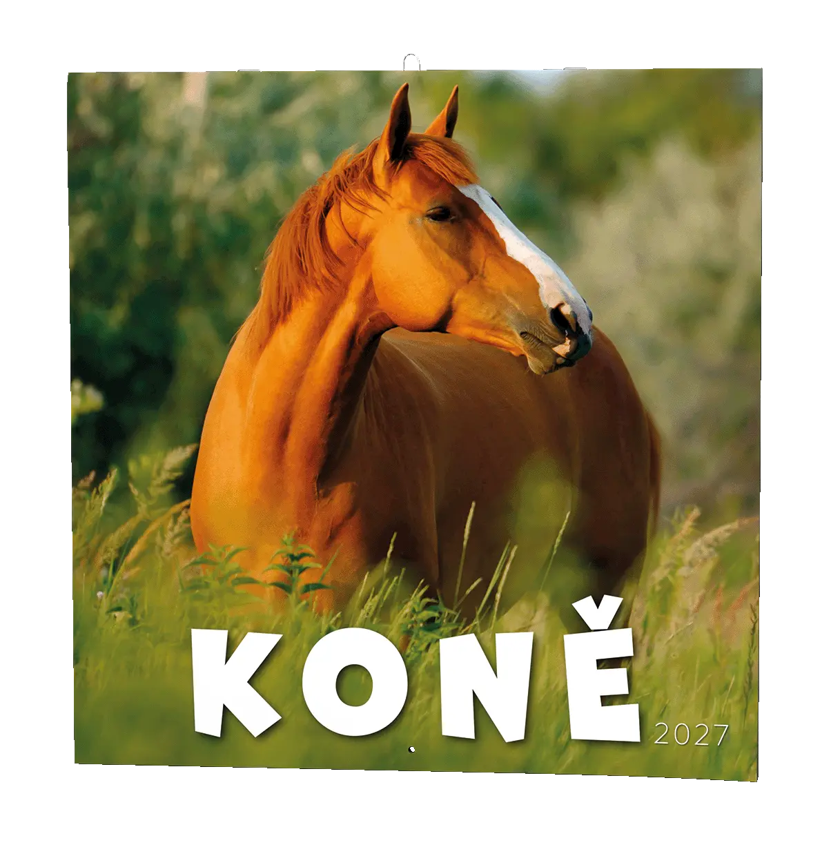 Nástěnný kalendář 2027 Nástěnný kalendář - Koně