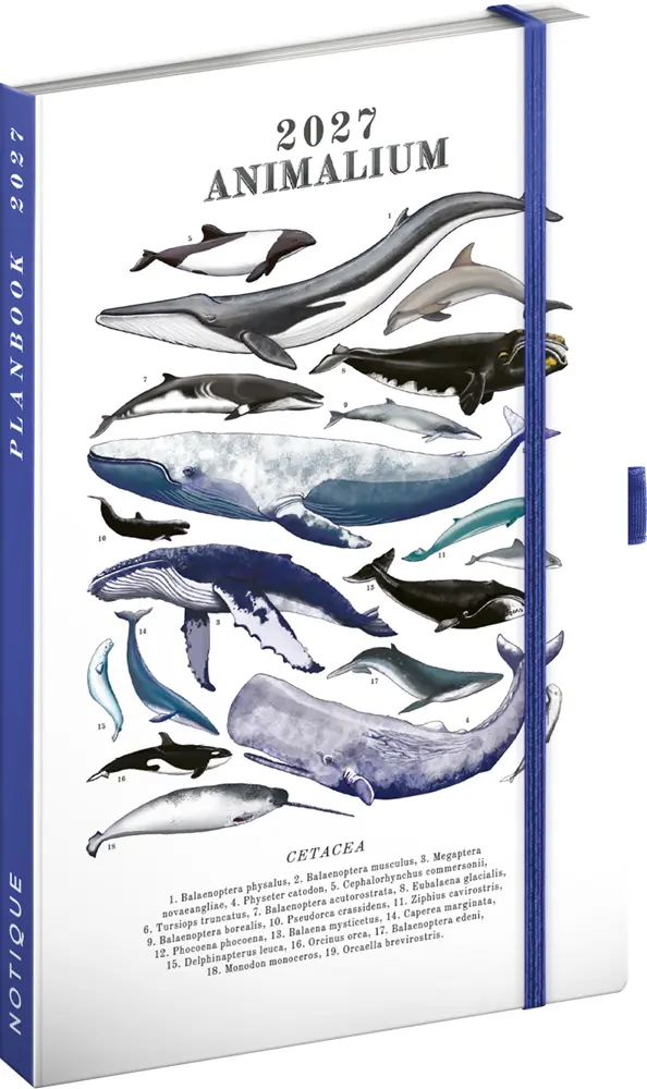 NOTIQUE Planbook planner/notebook Marine Life 2027, 13 x 21 cm