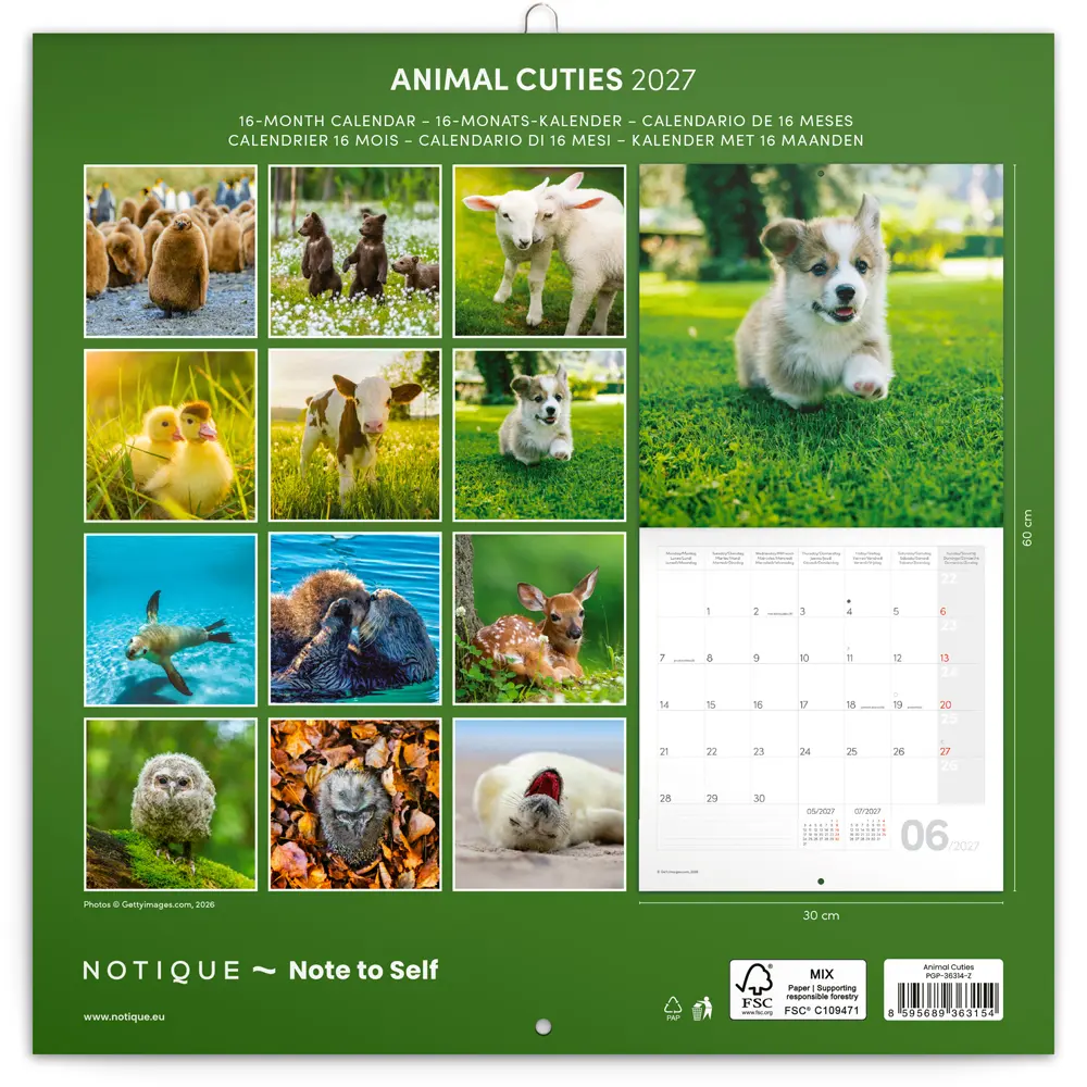 NOTIQUE Grid calendar Animal Cuties 2027, 30 x 30 cm
