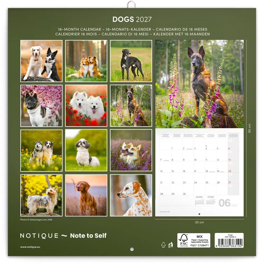 NOTIQUE Grid calendar Dogs 2027, 30 x 30 cm