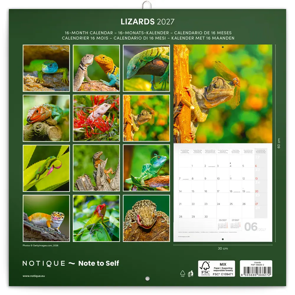 NOTIQUE Grid calendar Lizards 2027, 30 x 30 cm