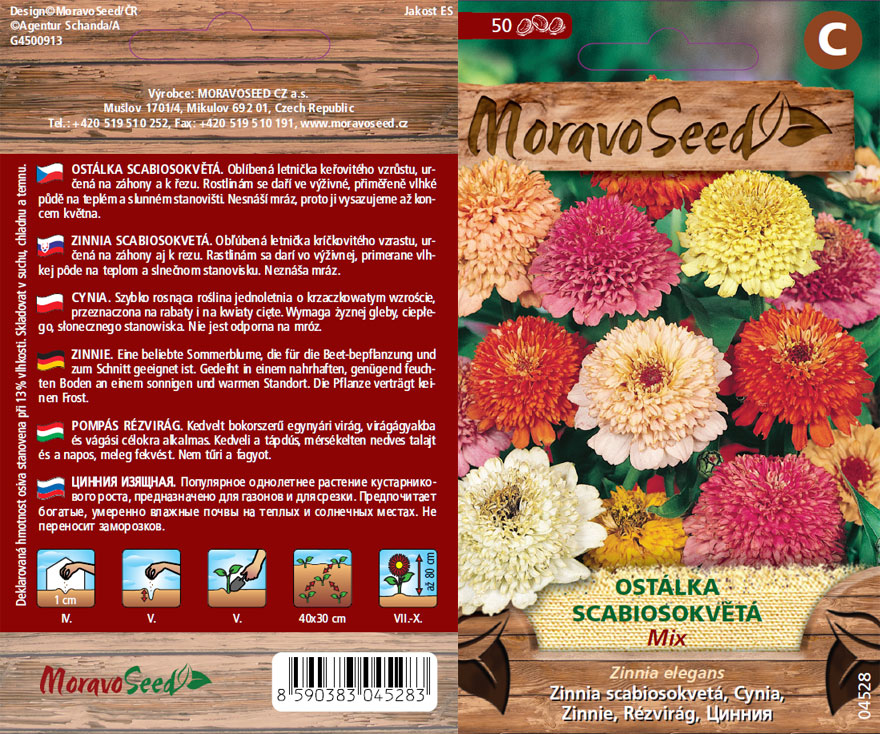 Ostálka lepá Scabiosokvětá směs - osivo