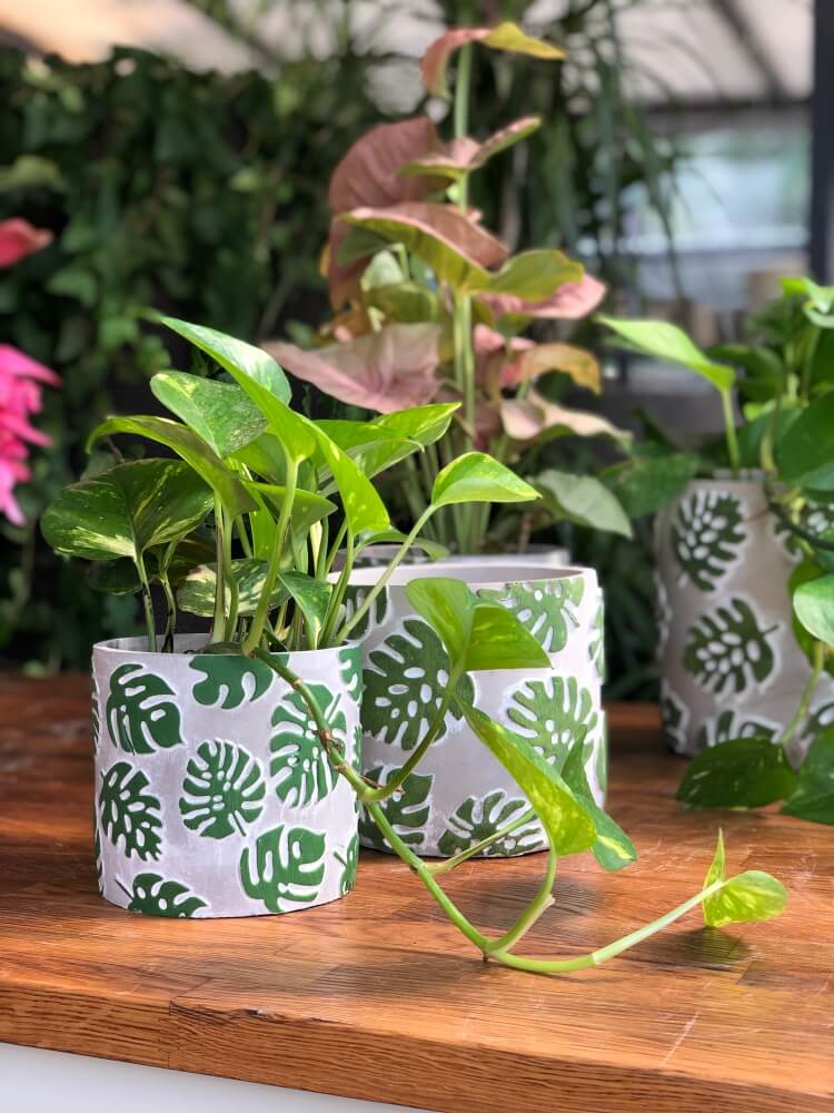 Keramický obal na květináče MONSTERA