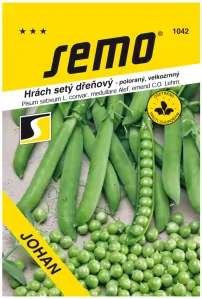 Hrách setý dřeňový Vladan- osivo