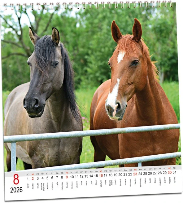 Kalendář Koně 2026