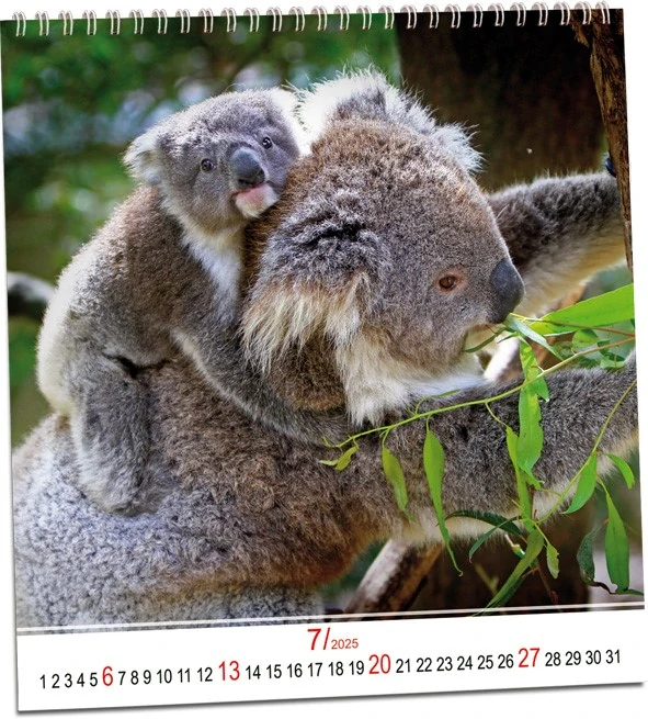 Kalendář Zvířata 2026