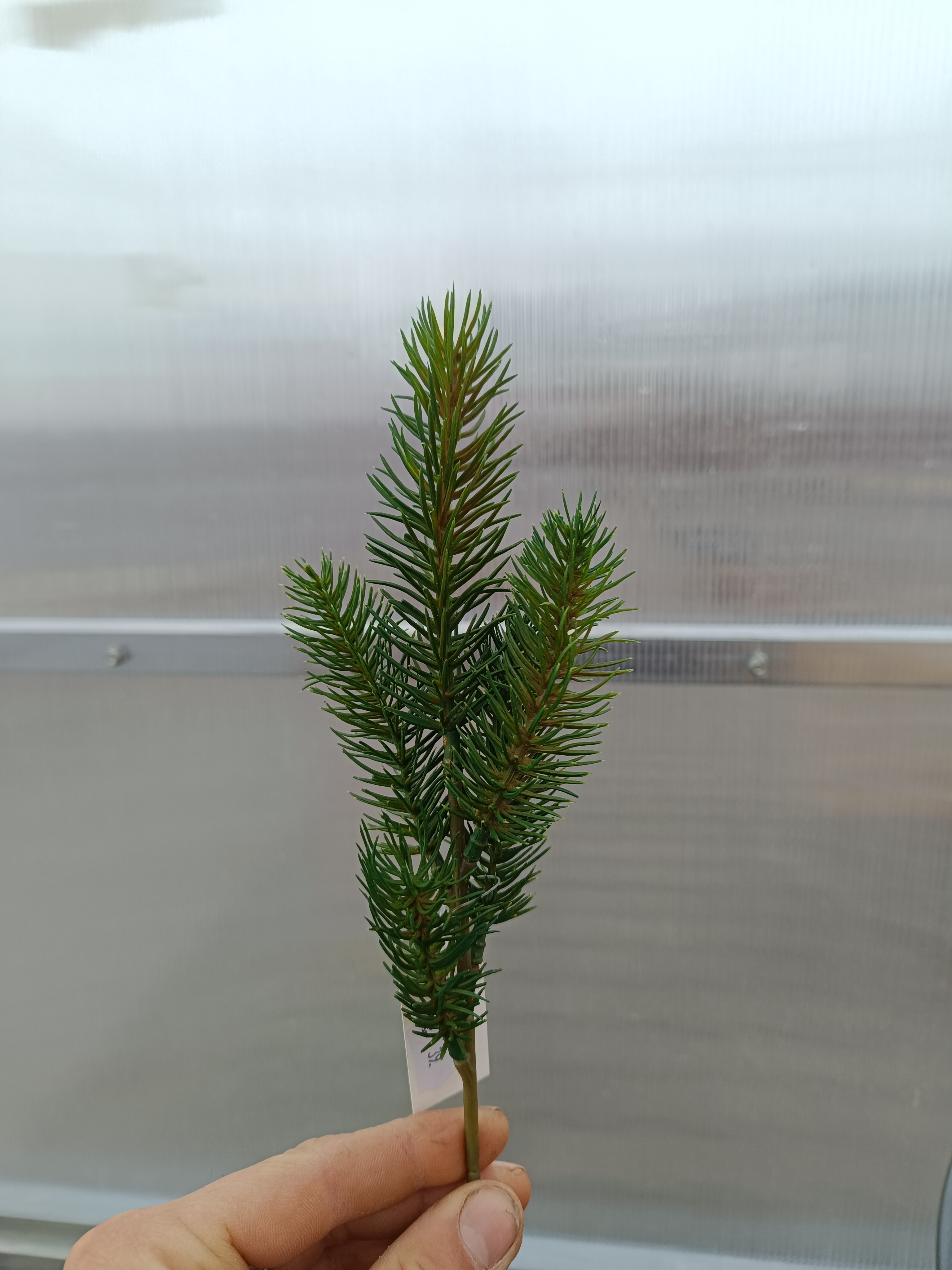 Plastová větev - zelená 130cm