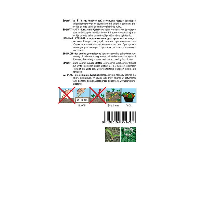 Špenát setý Matador- osivo