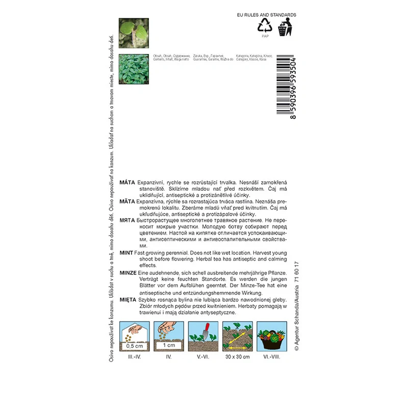 Máta peprná - osivo 