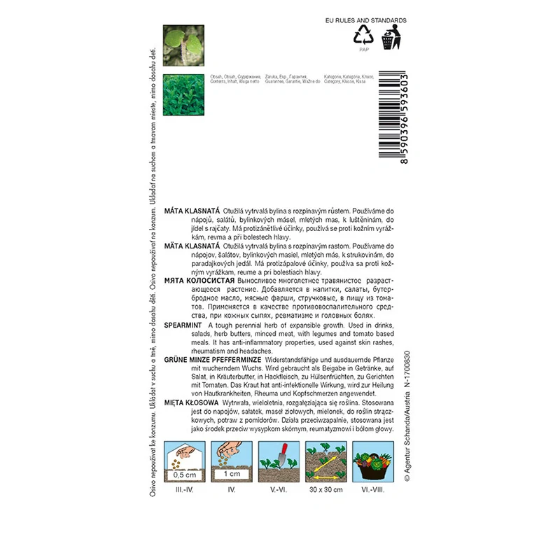Máta klasnatá - osivo 