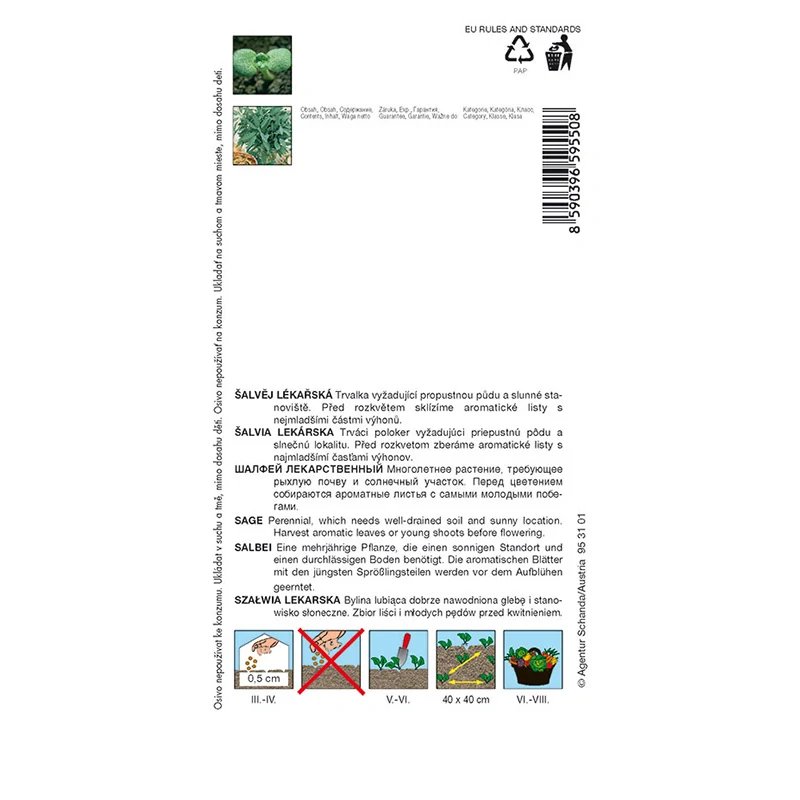 Šalvěj lékařská - osivo 