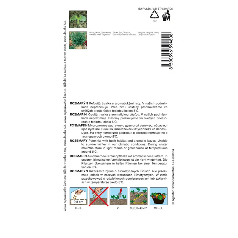 Rozmarýn lékařský - osivo