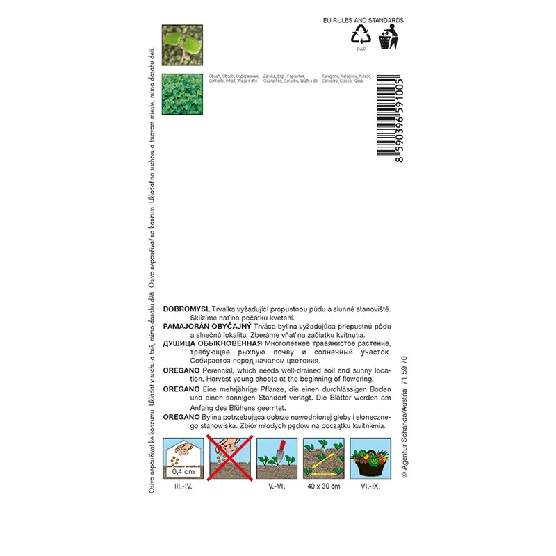 Dobromysl - oregano - osivo