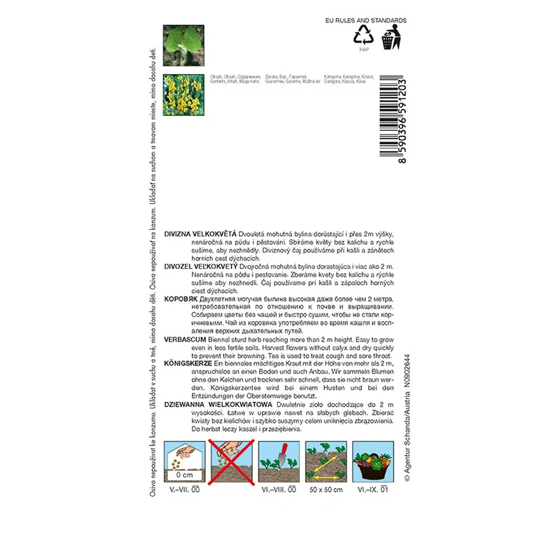 Divizna velkokvětá Zlata - osivo 