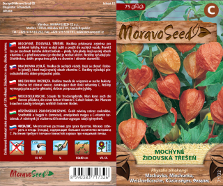 Mochyně - Židovská třešeň - oranžová - osivo