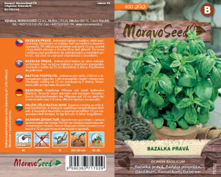 Bazalka pravá zelená - osivo 