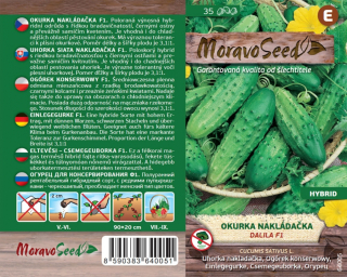 Okurky nakladačky hrub. Dalila F1 - osivo