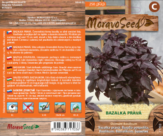 Bazalka červená - osivo