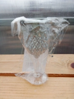 Vánoční dekorace pohár na zavěšeni 10.5cm
