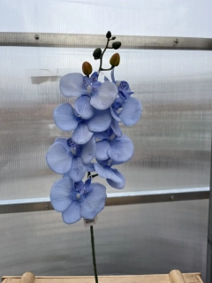 Uměla květina - Orchidej modrá 79cm