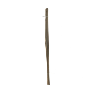 TOPTRADE tyč bambusová, O 18 - 20 mm x 210 cm, sada 2 ks
